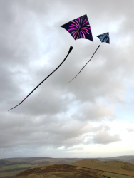 CumbriaNovember2025-005