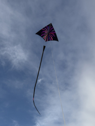 CumbriaNovember2025-011