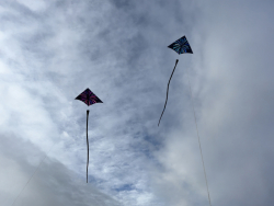 CumbriaNovember2025-012