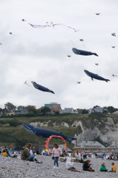 Dieppe2025-184