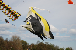 Driffield2009-063