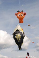 Driffield2009-067