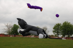 Driffield2009-081