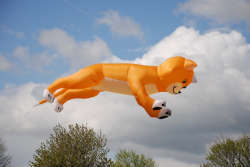 Driffield2010-044