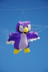 DruridgeBay2010-003