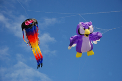 DruridgeBay2010-007