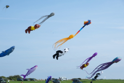 Filey2021-006