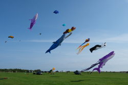 Filey2021-011