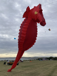 Filey2022-025