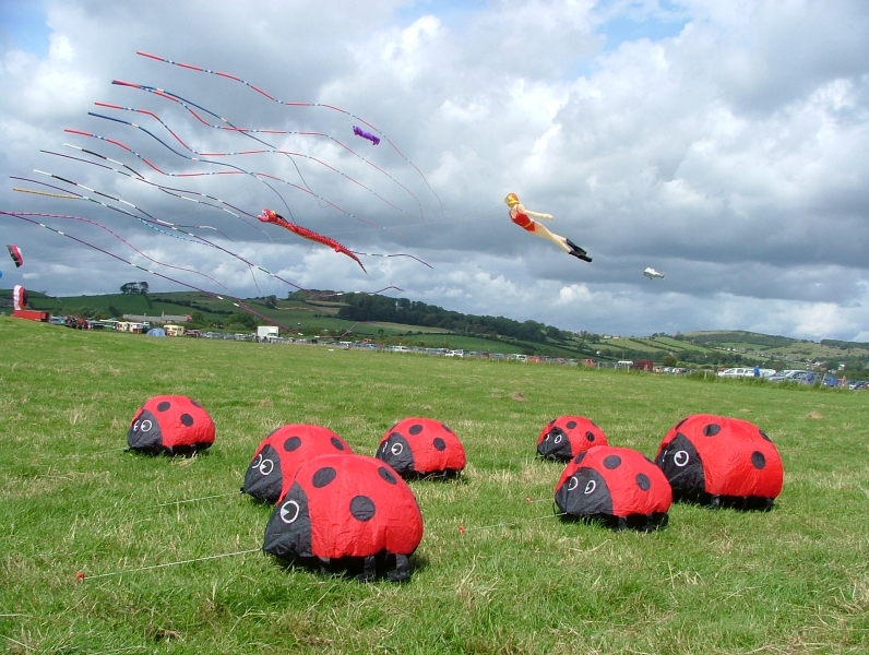 Flookburgh2007-012