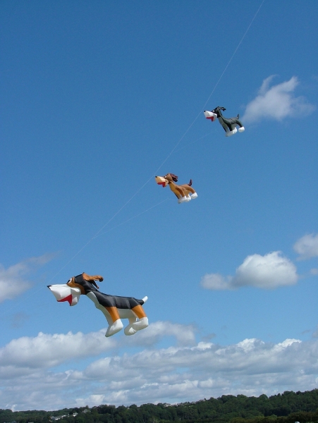 Flookburgh2007-020