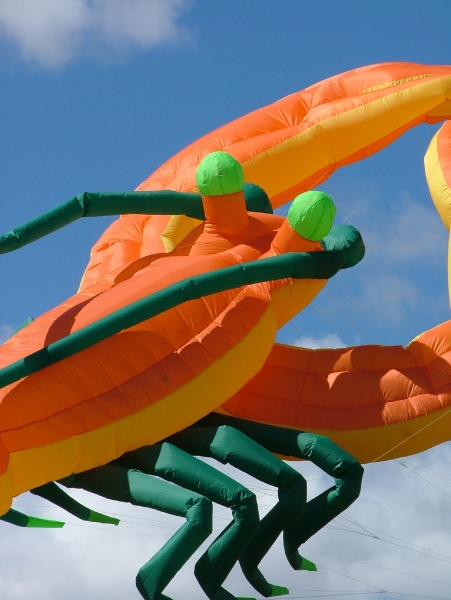 Flookburgh2007-024
