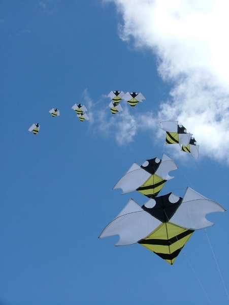 Flookburgh2007-027