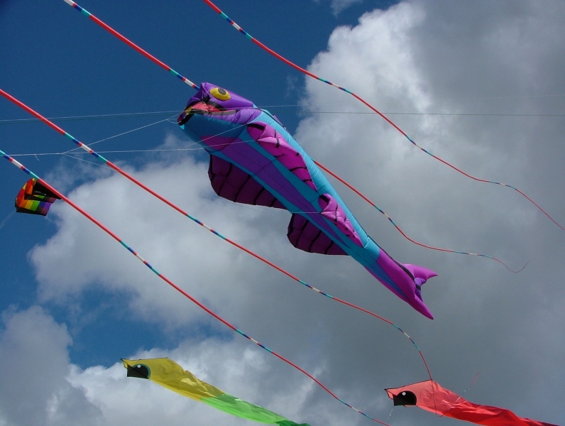 Flookburgh2007-034