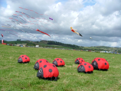 Flookburgh2007-012
