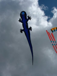 Flookburgh2007-030