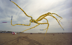 Fylde2002-001