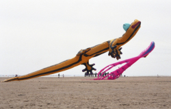 Fylde2003-002