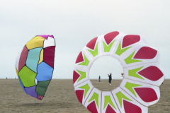Fylde 2003