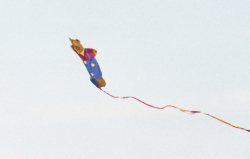 Fylde2003-015