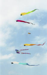 Fylde2003-019