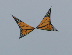 Fylde2005-004