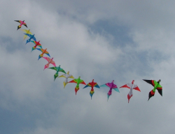 Fylde2005-030