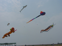 Fylde2005-047