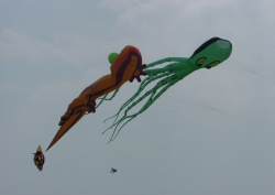 Fylde2005-056