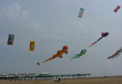 Fylde2005-064