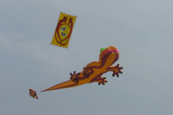 Fylde2005-066