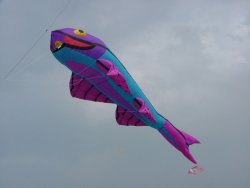 Fylde2005-068