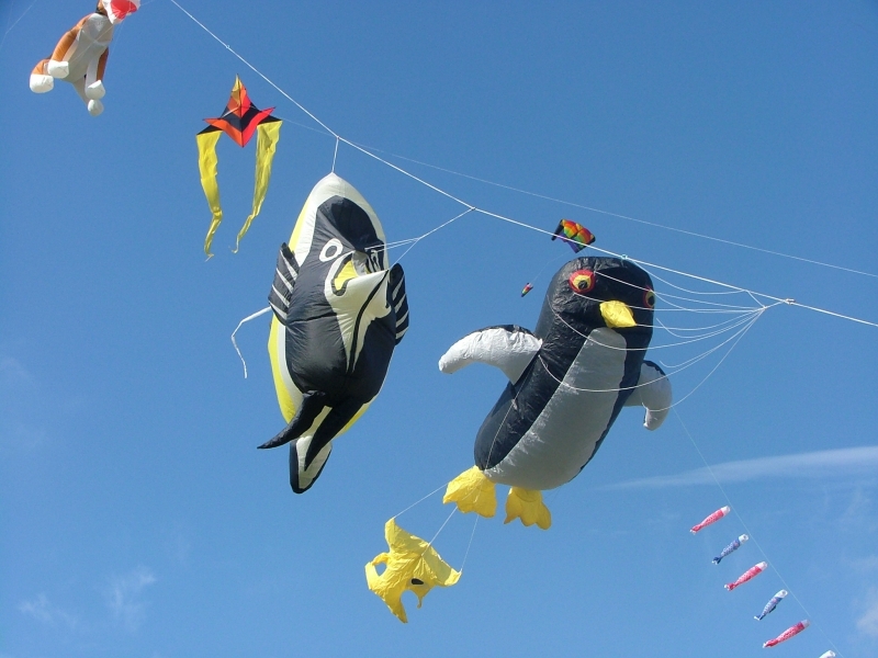 GreatBarugh2006-038