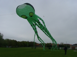 Halewood2006-002