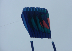 Halewood2006-003