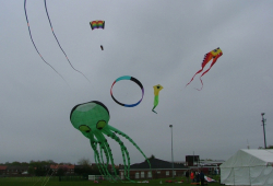 Halewood2006-004