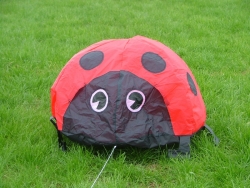 Halewood2006-008