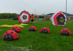 Halewood2006-009