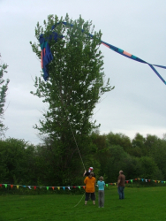 Halewood2006-011