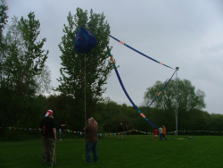Halewood2006-012
