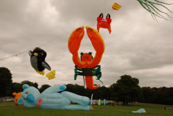 Harewood2007-074