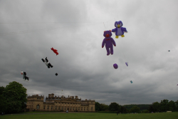 Harewood2008-003