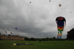 Harewood2008-004