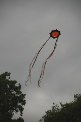 Harewood2008-009