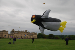 Harewood2008-013
