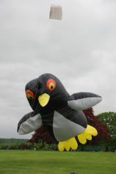 Harewood2008-015