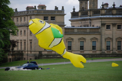 Harewood2008-026