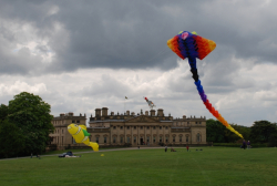 Harewood2008-027
