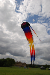 Harewood2008-029