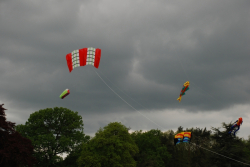 Harewood2008-035